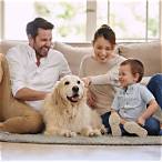 bony bet at home